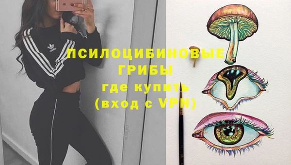 спайс Алзамай